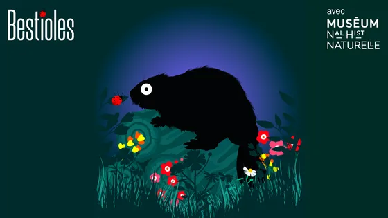 Le castor